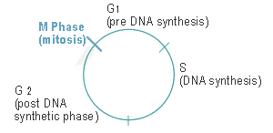 Beta particle annihilation