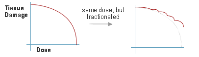 Beta Plus (b+) Particles