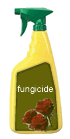 fungicide