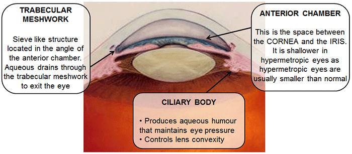 anat+physiology