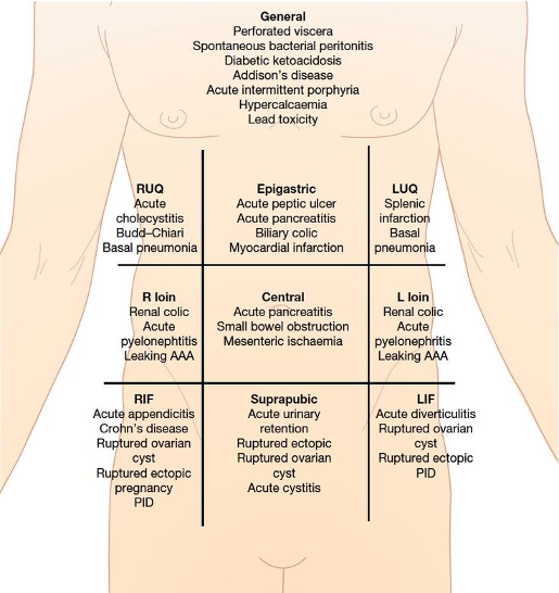 Abdominal quadrants