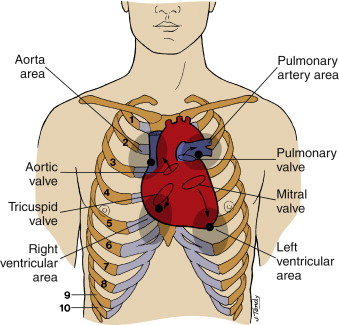 Image showing cardiac ausculation areas