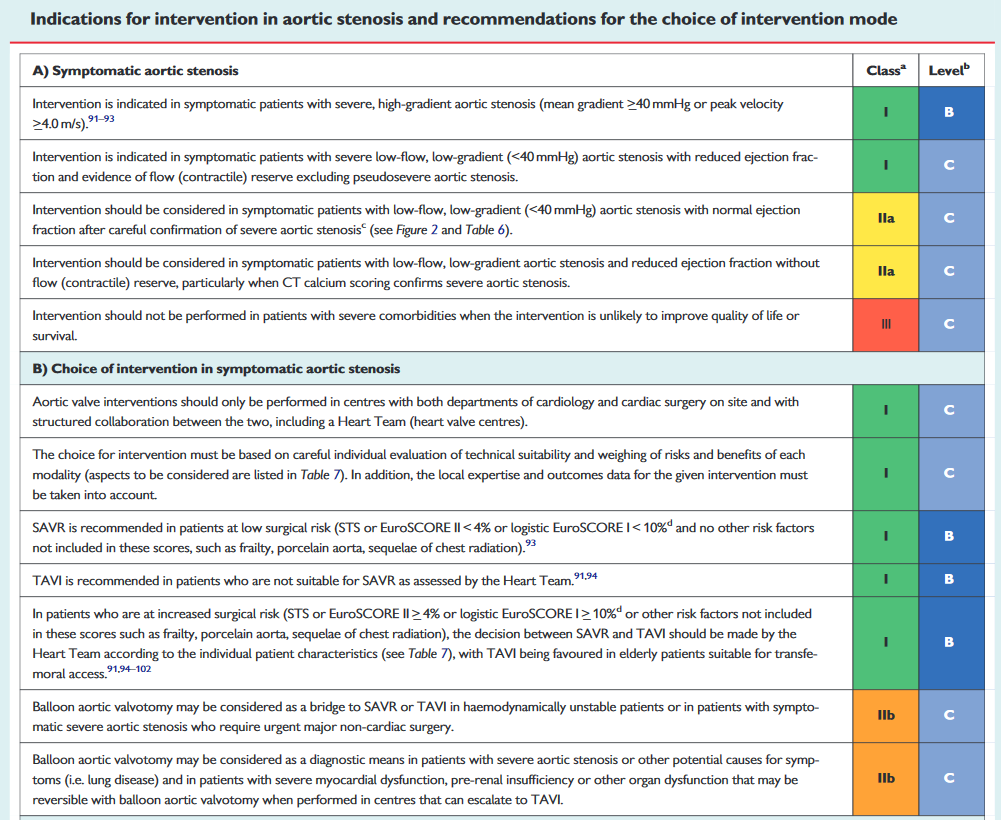 European Society of Cardiology guidelines on the management of patients with severe symptomatic aortic stenosis