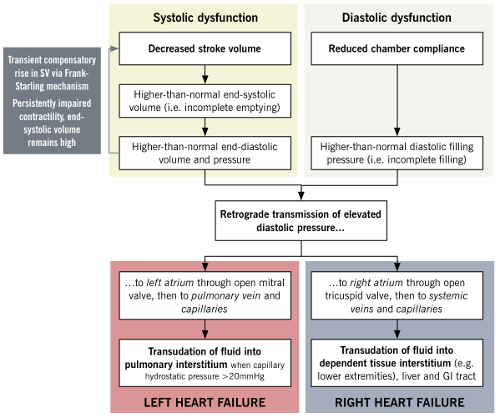 Heart Failure Mechanisms tabulated 